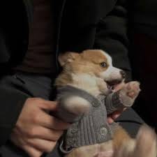 Bianca Mercado avatar